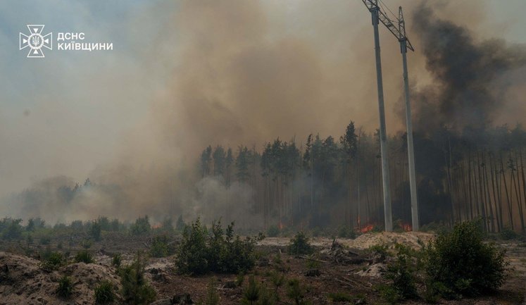 Пожар на 130 га в Чернобыльской зоне ликвидирован: спасатели сдерживают ещё три очага огня. ФОТОрепортаж