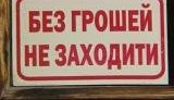 Год крысы, високосный год, - каким он был для Украины. ВИДЕО.