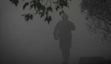 В Україні безвісти зниклими вважаються понад 114 тисяч людей, також є тисячі невпізнаних тіл, - МВС