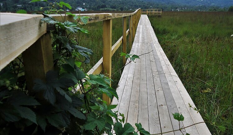 "План Маршалла" для України має врахувати екологію, - комісар ЄС