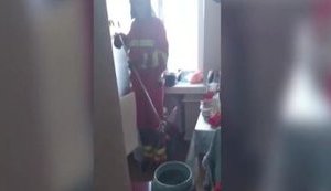 Змія заповзла в квартиру на 7-му поверсі в Дніпрі. ВІДЕО+ФОТО