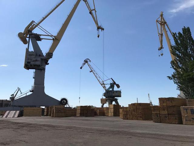 Налоговики раскрыли схему незаконного экспорта леса и пиломатериалов в Херсоне 04