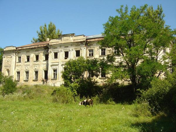 Згорів найдавніший бароковий палац Лівобережної України 05