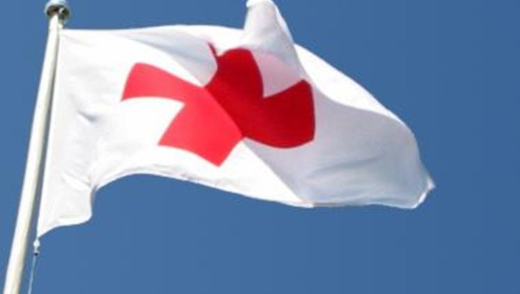 Putin's "humanitarian aid" convoys most likely delivered weapons to insurgents - Moscow Red Cross
