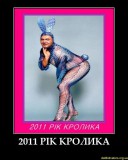 Кролик, который сожрал наши овощи
