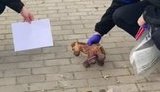краматорськ