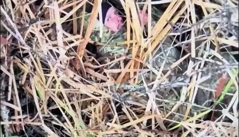 "Більше щоб сюди не приходив. І своїм, щоб передав": Сили оборони ліквідували рашиста дроном. ВIДЕО