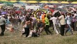 Во время конных скачек в Крыму градоначальника Севастополя чуть не убила лошадь. ФОТО