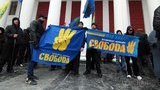 Милиция наобум задерживала всех ей известных "свободовцев" из-за снежков, – нардеп