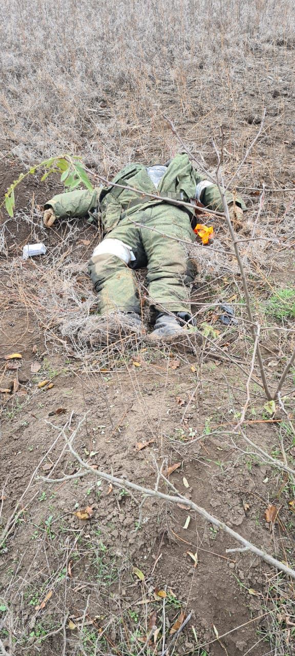 Russians abandoned bodies of dead Chechens during retreat from Kherson region 07 Russians abandoned bodies of dead Chechens during retreat from Kherson region 07