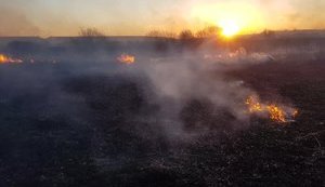 Пожежники продовжують гасити 9 осередків у Житомирській області