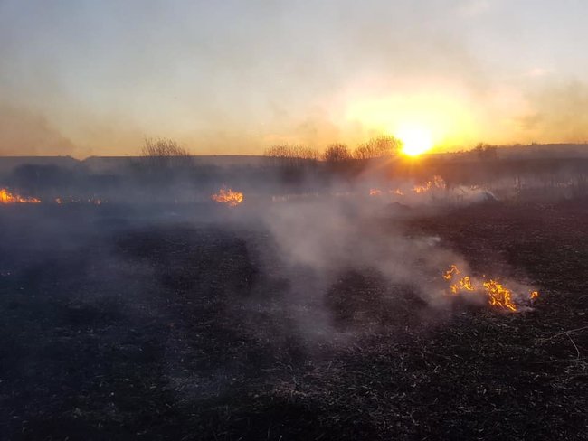 На Тернопільщині згорів орнітологічний заказник, - ДСНС 03
