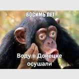 ... і зараз продовжують