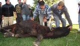 Курбан-байрам в Украине: кровавая резня возле мариупольской мечети. ФОТОрепортаж