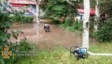 Негода в Запоріжжі: буря повалила дерева, зливи затопили вулиці. ФОТОрепортаж