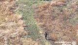 ліквідація окупанта