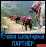 Альтернатива 