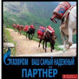 Альтернатива 