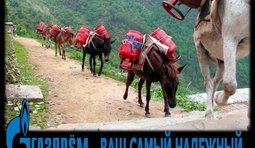 Альтернатива "Южному потоку"