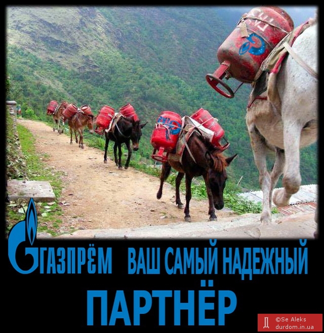 Альтернатива 