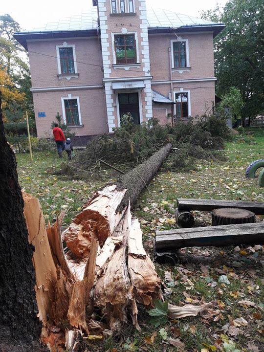 Toppled trees and damaged cars: State Emergency Service liquidating storm aftermath in Lviv and region 06
