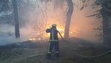 У Луганській області ліквідували всі осередки пожеж, - ДСНС
