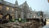 Французские фермеры привезли 10 тонн сена под Елисейский дворец. В ответ полиция применила слезоточивый газ. ФОТОрепортаж.