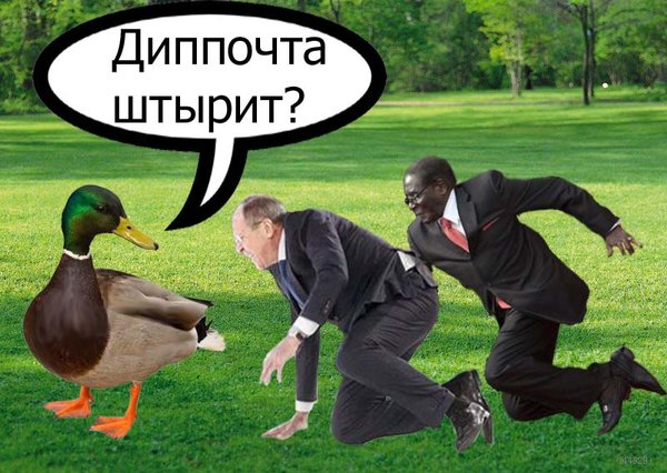 Диппочта штырит? Падение Лаврова перед лекцией о возможностях России в ФОТОжабах 04