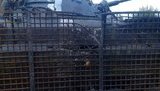 бмп ато волонтеры
