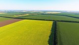 сільськогосподарські землі