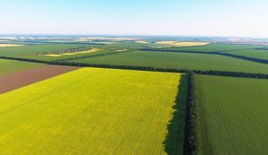 сільськогосподарські землі