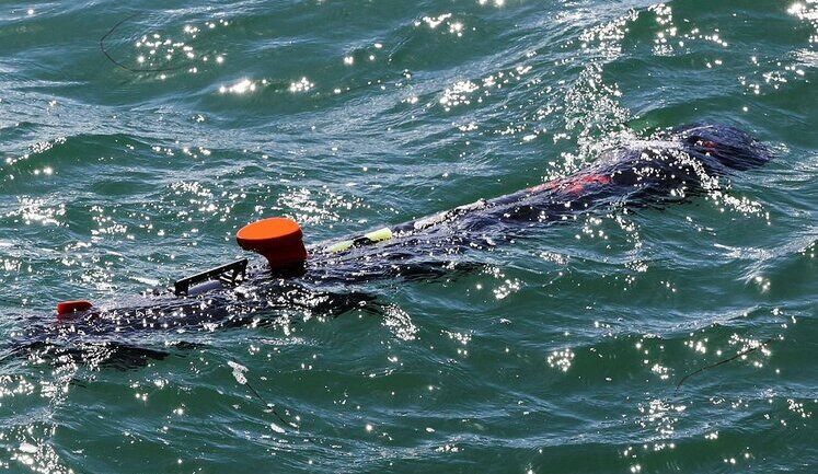 UK provides Ukraine with underwater drones to detect Russian mines: training of operators is already underway. PHOTOS