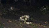 5 июля враг атаковал Одессу беспилотниками