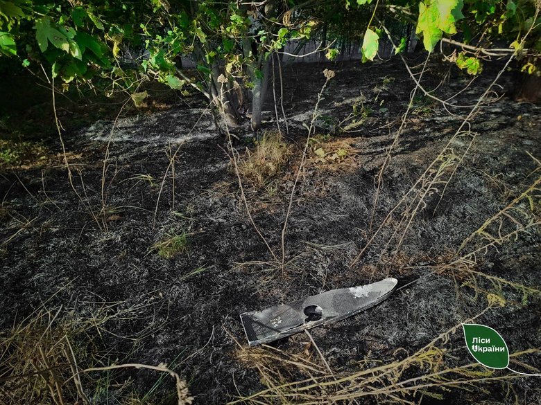 Forest fires in Ukraine – 87 per cent of the area burnt this week was caused by Russian attacks