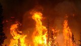 Під час пожежі 6-річний хлопчик живцем згорів у сараї з сіном на Житомирщині. ВIДЕО