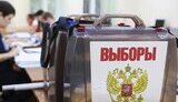 вибори,фейкові