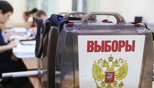 вибори,фейкові