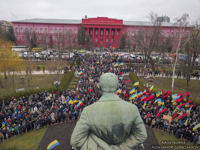 Марш за импичмент с высоты птичьего полета 02