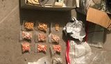 Полиция пресекла деятельность международной группы наркоторговцев в Одессе, при обысках изъято "товара" на 2 млн грн. ВИДЕО+ФОТОрепортаж