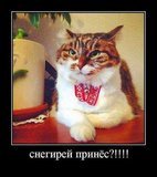 Снегирей давай!