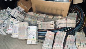 Схема для более 60 фиктивных фирм: БЭБ и Киберполиция раскрыли конвертцентр в агросекторе на Киевщине. ФОТО