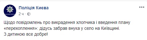 Похищенный в Киеве мальчик нашелся. Дедушка забрал внука в село, - Нацполиция 01