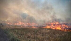 Двоє чоловіків підірвались на вибухівці на Херсонщині