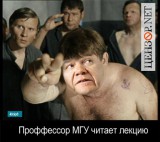 Профессор МГУ