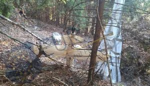 в Румунії виявили безпілотник, що впав серед дерев