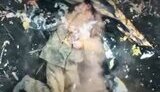 a drone destroyed an occupier