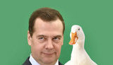 медведев