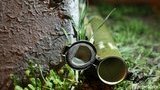 Будівлю "Київміськбуду" в Печерському районі столиці обстріляли з гранатомета. ВІДЕО+ФОТОрепортаж