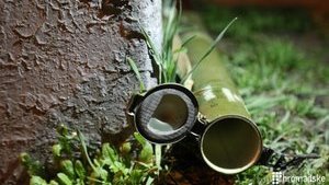 Здание "Киевгорстроя" в Печерском районе столицы обстреляли из гранатомета. ВИДЕО+ФОТОрепортаж