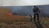 пожежа,врожай